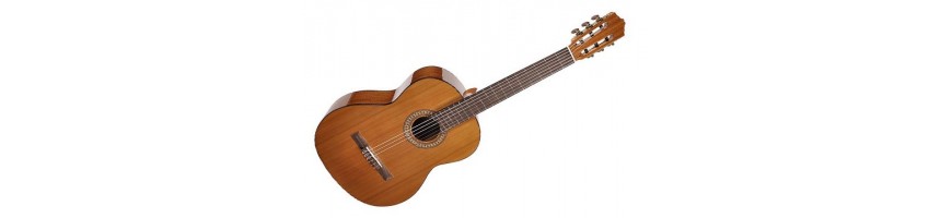 46/5000 Large selection of classical guitars at Toon Sileon